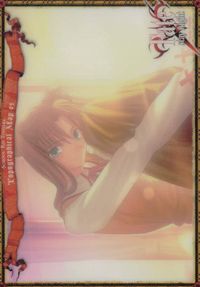 Fate/stay night Fate stay night FACT CARD 初版 カード 穂群原学園 トレカ 095 SILVER BLITZ ファクト