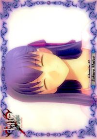 フェイト Fate/stay night FACT Fate stay night FACT CARD 初版 カード 虎竹刀 トレカ 044 SILVER BLITZ コレクション サムネイル 2