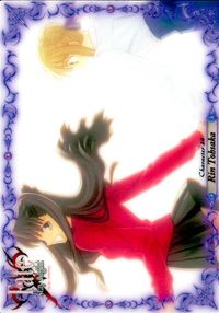 Fate/stay night FACT Fate stay night FACT CARD 初版 カード 藤村大河 トレカ 043 SILVER BLITZ キャラクター サムネイル 2