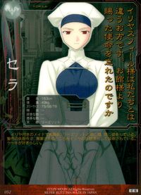 Fate/stay night FACT Fate stay night FACT CARD 初版 カード セラ トレカ 052 SILVER BLITZ キャラクター
