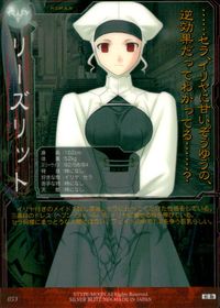 Fate/SN Fate/stay night Fate stay night FACT CARD 初版 カード リーズリット トレカ 053 SILVER BLITZ キャラクター