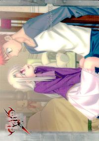 Fate/SN Fate/stay night Fate stay night FACT CARD 初版 カード リーズリット トレカ 053 SILVER BLITZ キャラクター サムネイル 2