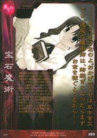 フェイト Fate/stay night FACT CARD Fate stay night FACT CARD 初版 カード 遠坂凛 トレカ 020 SILVER BLITZ TCG