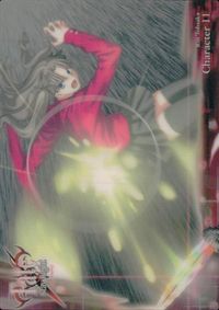フェイト Fate/stay night FACT CARD Fate stay night FACT CARD 初版 カード 遠坂凛 トレカ 020 SILVER BLITZ TCG サムネイル 2