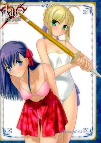 フェイト Fate/stay night Fate stay night FACT CARD 初版 カード 第四回聖杯戦争 Heavens feel 4th トレカ 080 SILVER BLITZ FACT