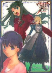 Fate/stay night Fate stay night FACT CARD 初版 カード 聖杯戦争 Heavens feel トレカ 073 SILVER BLITZ FACT