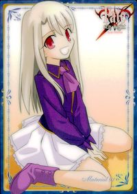 Fate/stay night Fate stay night FACT CARD 初版 カード アンリ マユ トレカ 079 SILVER BLITZ FACT