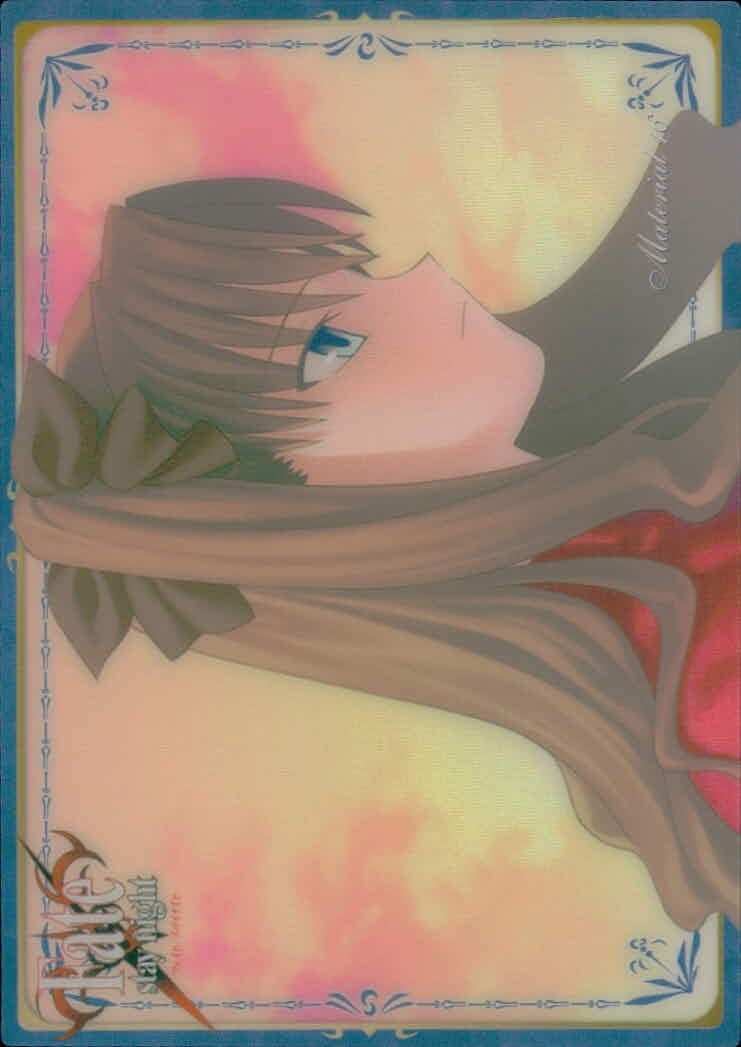 Fate/stay night Fate stay night FACT CARD 初版 カード 魔法 トレカ 088 SILVER BLITZ ファクト