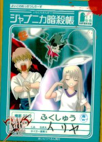 Fate/stay night ジャプニカ暗殺帳 Fate stay night FACT CARD 初版 カード イリヤ ふくしゅう タイガー道場5 トレカ 104 あいんつべるん 同人
