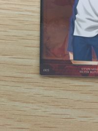 フェイトsn Fate/stay night Fate stay night FACT CARD 初版 SP 衛宮士郎 005 カード 衛宮士郎 トレカ 005 SILVER BLITZ ファクト サムネイル 10