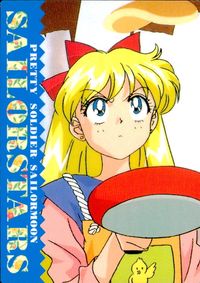 美少女戦士セーラームーン セーラースターズ セーラームーン メモリーズ アマダ カード 水野亜美 トレカ No.53 アマダ メモリーズ