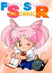 美少女戦士セーラームーンR セーラームーン メモリーズ アマダ カード セーラー戦士たち トレカ No.22 アマダ 食玩
