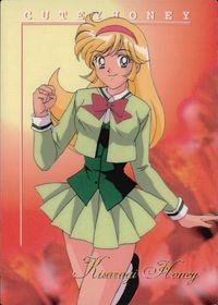 キューティーハニーF キューティーハニー アマダ ダイナミック企画 カード 如月ハニー トレカ No.11 アマダ トレーディング