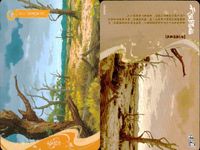 天官賜福 天官賜福 卡遊 KAYOU カード まとめ 场景卡 天师府 天师府 朱雀大道 枫树林 荒野枯树 极乐坊 鬼市 鬼市 长乐坊 鬼市 长乐坊 机关楼 鬼市 长乐坊 欢乐里 9枚 TG-CJ-057 L1 卡遊(KAYOU) サムネイル 5