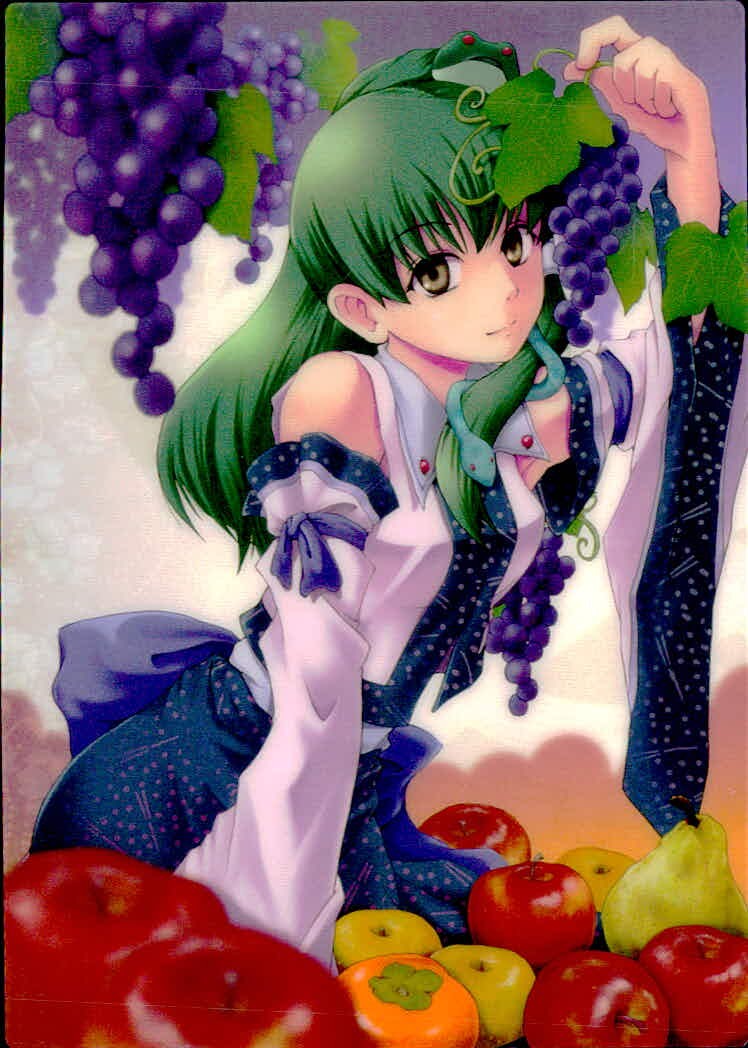 東方雅華乱舞 TRADING CARD 東方雅華乱舞 上海アリス幻楽団 東方 カード 東風谷早苗 トレカ J♦ Surfersparadise トレーディング