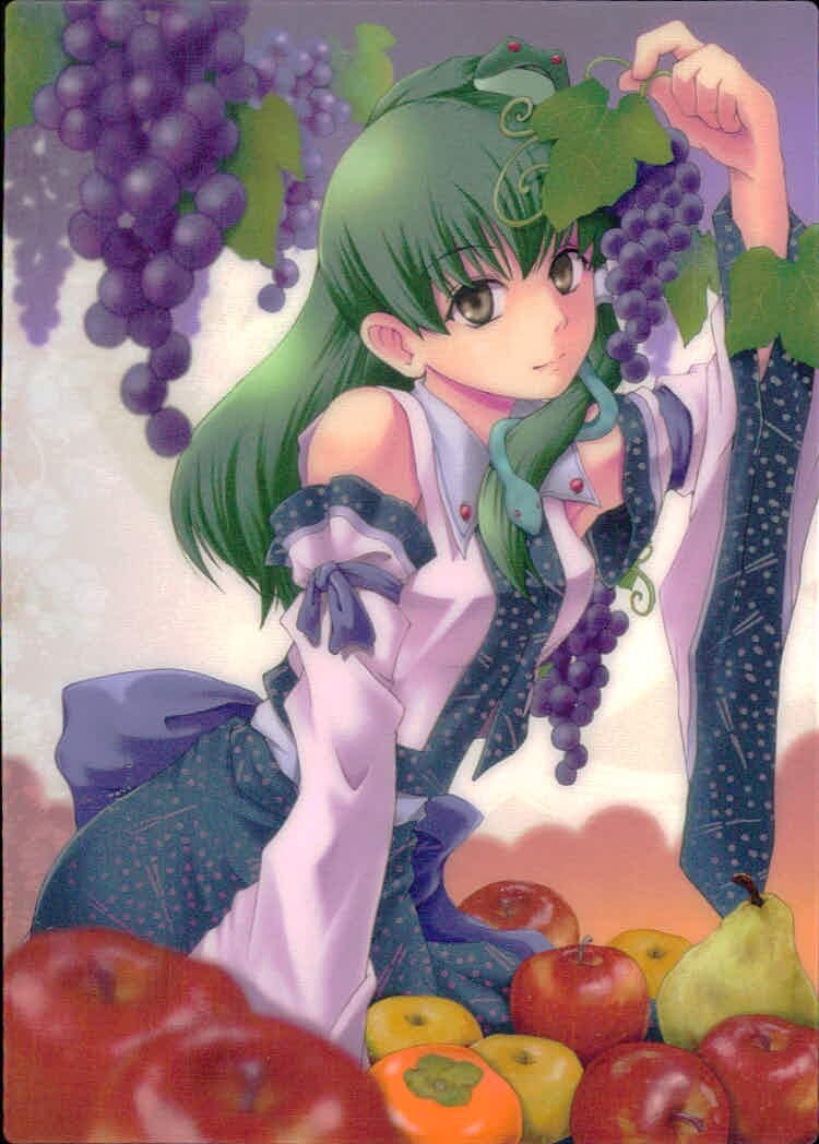東方雅華乱舞 TRADING CARD 東方雅華乱舞 上海アリス幻楽団 東方 カード 東風谷早苗 トレカ J Surfersparadise トレーディング