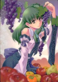 Touhou Gakka Ranbu Sanae Kochiya Holo Trading Card Japanese Touhou card Japan