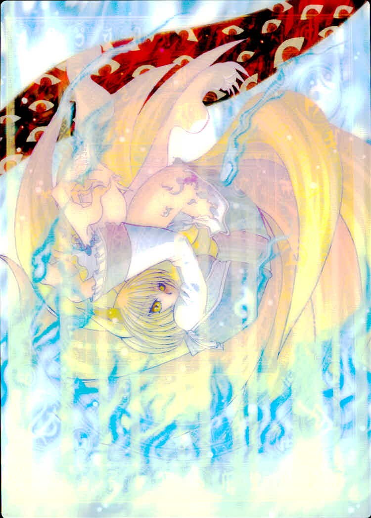 東方雅華乱舞 TRADING CARD 東方雅華乱舞 上海アリス幻楽団 東方 カード 八雲藍 トレカ 2♣ 上海アリス幻楽団 Surfersparadise トレーディング