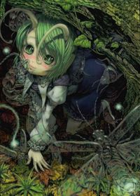 Touhou Gakaranbuu TCG Wriggle Nightbug Card Kira Holo Japanese Touhou card Japan