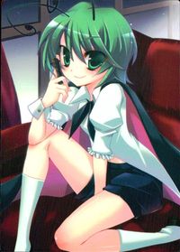 東方雅華乱舞 トレーディング 東方雅華乱舞 上海アリス幻楽団 東方 カード リグル ナイトバグ トレカ GA4025 Surfersparadise トレーディング