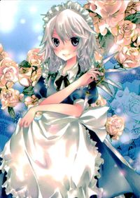 東方雅華乱舞 TRADING CARD 東方雅華乱舞 上海アリス幻楽団 東方 カード 十六夜咲夜 トレカ GA4014 Surfersparadise トレーディング