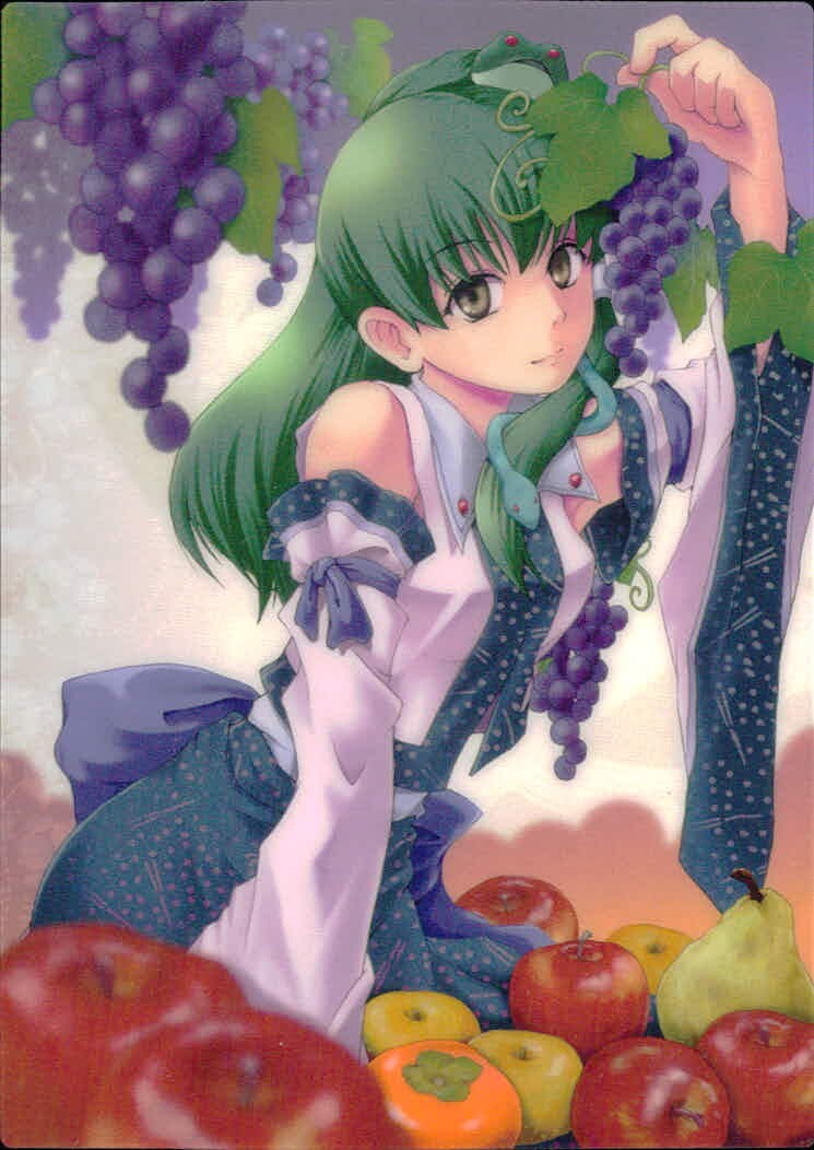 東方雅華乱舞 TRADING CARD 東方雅華乱舞 上海アリス幻楽団 東方 カード 東風谷早苗 トレカ J(ダイヤ) Surfersparadise トレーディング