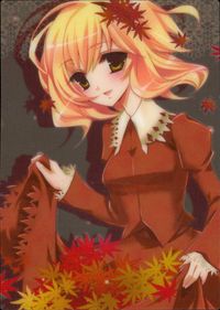 Touhou Gakka Ranbu Trading Card Aki Shizuha Holo Japanese Game Touhou card Japan