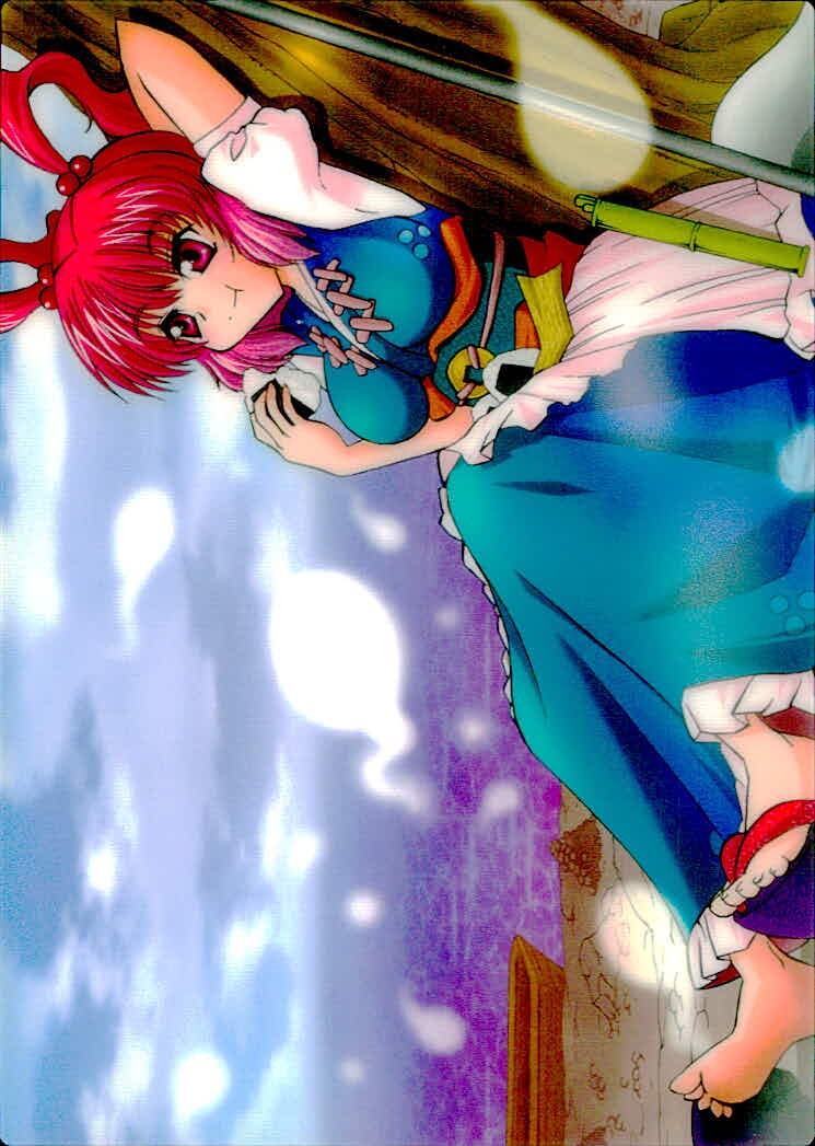 東方雅華乱舞 TRADING CARD 東方雅華乱舞 上海アリス幻楽団 東方 カード 小野塚小町 トレカ QA30C4 上海アリス幻楽団 Surfersparadise トレーディング