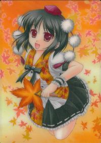 東方雅華乱舞 TRADING CARD 東方雅華乱舞 上海アリス幻楽団 東方 カード 射命丸文 トレカ GA3059 上海アリス幻楽団 Surfersparadise トレーディング