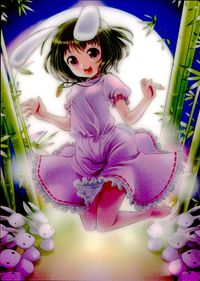 Touhou Gakaren Trading Card Tewi Inaba Holo Japanese Game Touhou card Japan