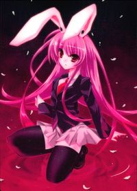 東方雅華乱舞 TRADING CARD 東方雅華乱舞 上海アリス幻楽団 東方 カード 鈴仙 優曇華院 イナバ トレカ 7 Surfersparadise トレーディング