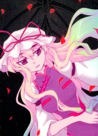 東方雅華乱舞 TRADING CARD 東方雅華乱舞 上海アリス幻楽団 東方 カード 八雲紫 トレカ Surfersparadise トレーディング