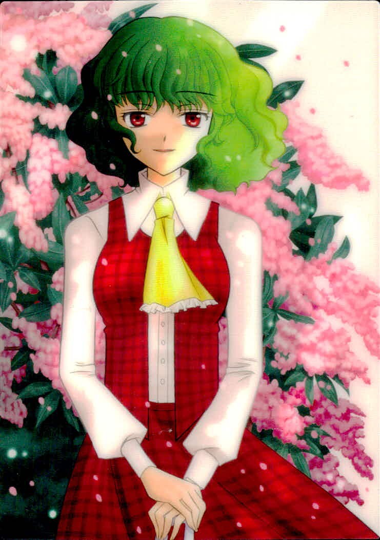 東方雅華乱舞 TRADING CARD 東方雅華乱舞 上海アリス幻楽団 東方 カード 風見幽香 トレカ Surfersparadise トレーディング