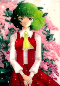東方雅華乱舞 TRADING CARD 東方雅華乱舞 上海アリス幻楽団 東方 カード 風見幽香 トレカ Surfersparadise トレーディング