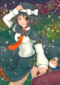 東方雅華乱舞 東方雅華乱舞 上海アリス幻楽団 東方 カード 宇佐見蓮子 トレカ GA3080 Surfersparadise トレーディング