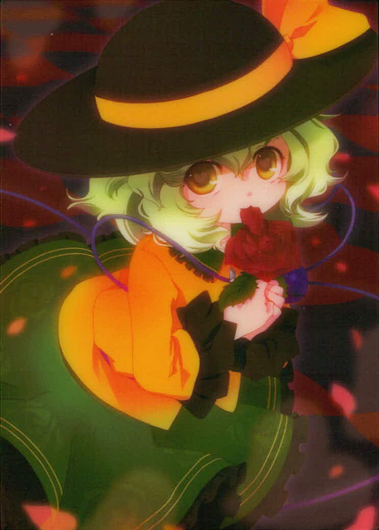 東方雅華乱舞 TRADING CARD 東方雅華乱舞 上海アリス幻楽団 東方 カード 古明地こいし トレカ QA3079 一萬 Surfersparadise トレーディング