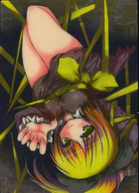 東方雅華乱舞 TRADING CARD 東方雅華乱舞 上海アリス幻楽団 東方 カード 黒谷ヤマメ トレカ GA3074 六萬 Surfersparadise トレーディング