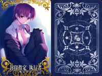 FGOアーケード Fate/Grand Order Arcade カード まとめ Assassin 概念礼装 Berserker マタ ハリ 天の晩餐 封印指定 執行者 清姫 2030年の欠片 原始呪術 9枚 セガ アーケード サムネイル 7