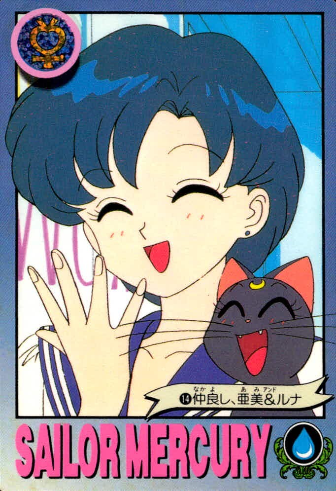 美少女戦士セーラームーンR カード 仲良し 亜美 ルナ トレカ 14 バンダイ カードダス