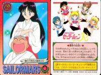 美少女戦士 セーラームーン カード まとめ SAILOR MARS いじわるレイちゃん ファイヤーッ!? T A女学院の女王様 レイちゃん初デート 本当の気持ち… 火野レイ 火川神社の霊感少女 バーニング マンダラー!! 9枚 サムネイル 9