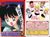 美少女戦士 セーラームーン カード まとめ SAILOR MARS いじわるレイちゃん ファイヤーッ!? T A女学院の女王様 レイちゃん初デート 本当の気持ち… 火野レイ 火川神社の霊感少女 バーニング マンダラー!! 9枚 サムネイル 2