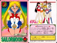 美少女戦士 セーラームーン カード まとめ キャラクター 運命の恋人 ムーンプリンセス ハレーション!! おめめウルウル〜ウ ムーンクリスタルパワー メイクアップ! なるちゃんは大親友! 運命の赤いバラ プリンセス セレニティ 6 サムネイル 9