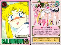 美少女戦士 セーラームーン カード まとめ キャラクター 甘い物だ~い好き 正義の味方 参上! ムーンプリンセス ハレーション!! 月野うさぎ ムーン スパイラル ハート アタック!! それはそうだが セーラームーン 見参! 9枚 サムネイル 8