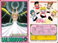 美少女戦士 セーラームーン カード まとめ プリンセス セレニティ 運命の赤いバラ ムーンクリスタルパワー メイクアップ！ おめめウルウル〜ウ ムーンプリンセス ハレーション!! みんなは私が守ってみせる！ 奇蹟を信じて！ 9枚 サムネイル 8
