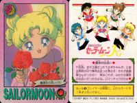 美少女戦士 セーラームーン カード まとめ プリンセス セレニティ 運命の赤いバラ ムーンクリスタルパワー メイクアップ！ おめめウルウル〜ウ ムーンプリンセス ハレーション!! みんなは私が守ってみせる！ 奇蹟を信じて！ 9枚 サムネイル 4
