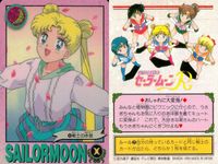 美少女戦士 セーラームーン カード まとめ トキメキ表情集 おしゃれに大変身 セーラー戦士の素顔 戦うセーラー戦士 セーラー戦士 参上! 運命の出会い セーラームーンの必殺技 チュ~~~!? 戦士の休息 正義の味方 参上! 9枚 サムネイル 4