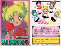 美少女戦士 セーラームーン カード まとめ トキメキ表情集 おしゃれに大変身 セーラー戦士の素顔 戦うセーラー戦士 セーラー戦士 参上! 運命の出会い セーラームーンの必殺技 チュ~~~!? 戦士の休息 正義の味方 参上! 9枚 サムネイル 9