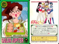 美少女戦士 セーラームーン カード まとめ セーラージュピター 先輩の思い出 レディーのたしなみ なめるな! 恋の悩みはまこちゃんにおまかせ! 悪者どもは容赦しないよ! 愛はお弁当箱につめて 必殺の正拳! 9枚 69 117 79 サムネイル 10