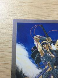 菊池通隆イラストコレクション MICHITAKA KIKUCHI ILLUST COLLECTION Gemini オリジナル トレカ SP2 SP バンダイ カードダスマスターズ サムネイル 5