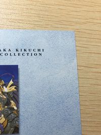 菊池通隆イラストコレクション MICHITAKA KIKUCHI ILLUST COLLECTION Gemini オリジナル トレカ SP2 SP バンダイ カードダスマスターズ サムネイル 11